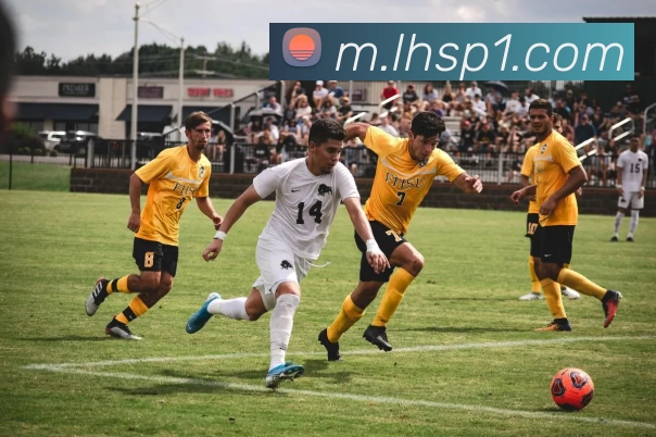 App Interface Preview