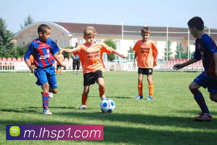 雷火体育APP 封面图